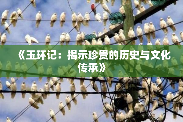 《玉环记：揭示珍贵的历史与文化传承》