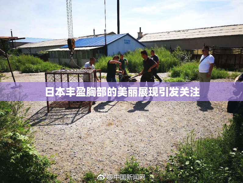 日本丰盈胸部的美丽展现引发关注