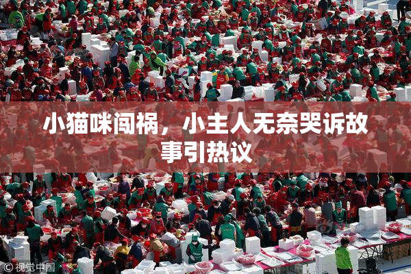 小猫咪闯祸，小主人无奈哭诉故事引热议