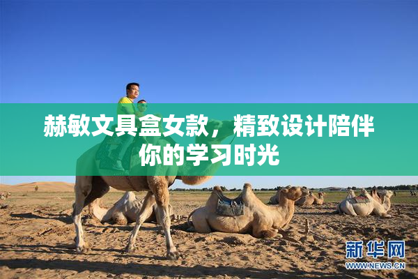 赫敏文具盒女款，精致设计陪伴你的学习时光