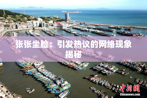 张张坐脸：引发热议的网络现象揭秘