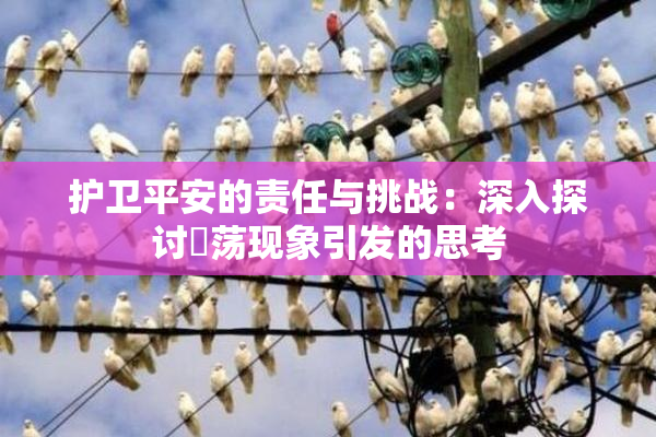 护卫平安的责任与挑战：深入探讨婬荡现象引发的思考