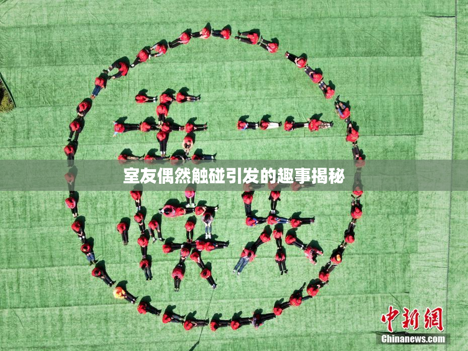 室友偶然触碰引发的趣事揭秘