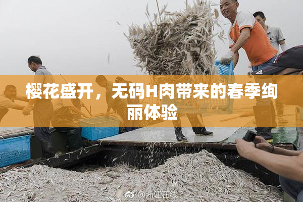 樱花盛开，无码H肉带来的春季绚丽体验