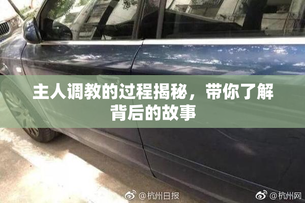主人调教的过程揭秘，带你了解背后的故事