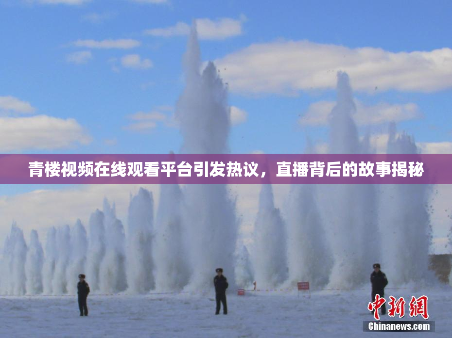 青楼视频在线观看平台引发热议，直播背后的故事揭秘