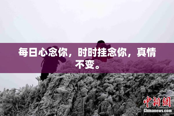 每日心念你，时时挂念你，真情不变。