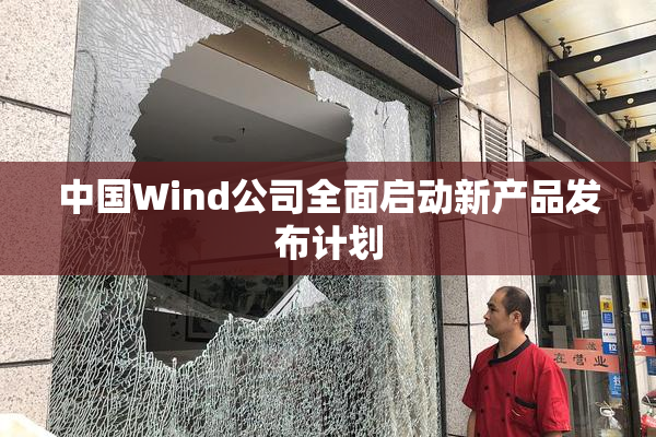中国Wind公司全面启动新产品发布计划