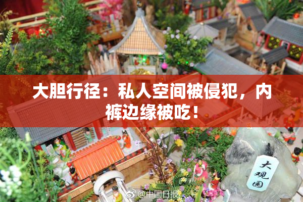 大胆行径：私人空间被侵犯，内裤边缘被吃！