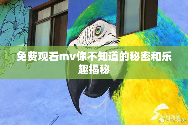 免费观看mv你不知道的秘密和乐趣揭秘