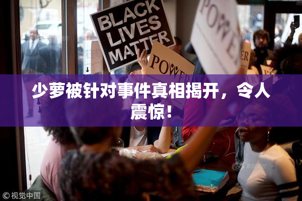 少萝被针对事件真相揭开，令人震惊！