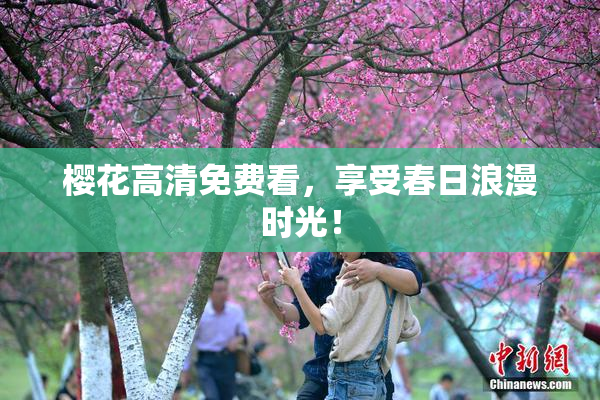 樱花高清免费看，享受春日浪漫时光！