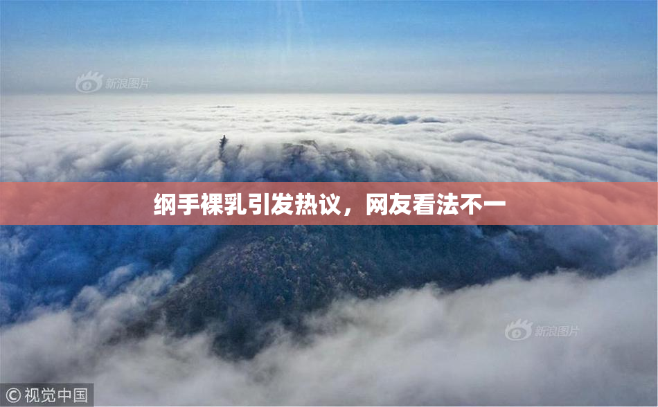 纲手裸乳引发热议，网友看法不一