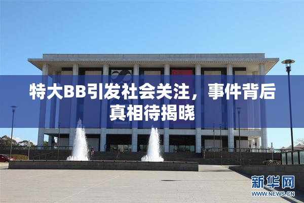 特大BB引发社会关注，事件背后真相待揭晓