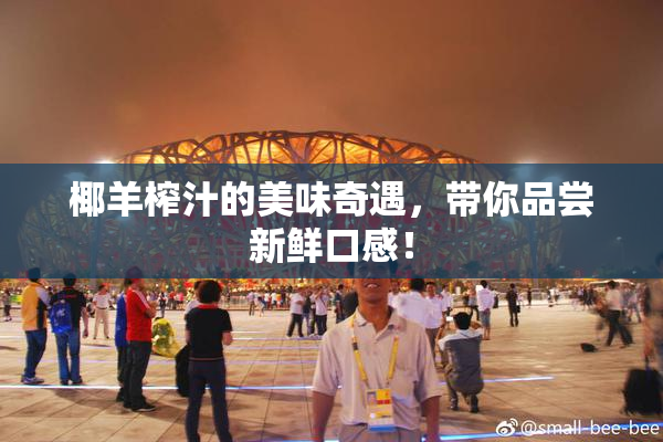 椰羊榨汁的美味奇遇，带你品尝新鲜口感！