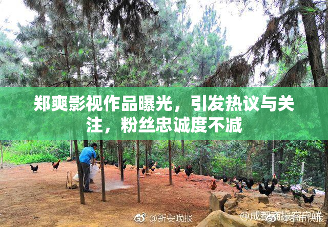 郑爽影视作品曝光，引发热议与关注，粉丝忠诚度不减