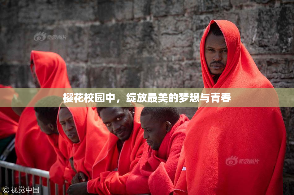 樱花校园中，绽放最美的梦想与青春
