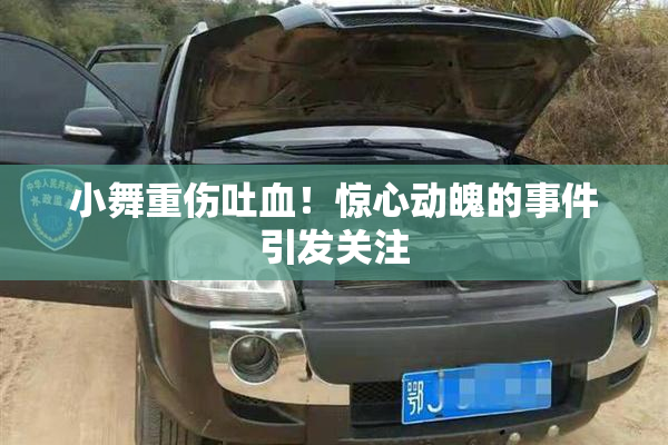 小舞重伤吐血！惊心动魄的事件引发关注