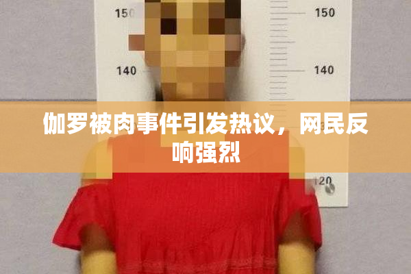 伽罗被肉事件引发热议，网民反响强烈