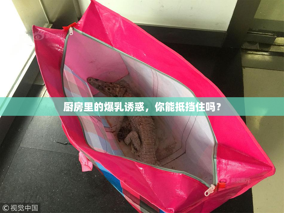 厨房里的爆乳诱惑，你能抵挡住吗？