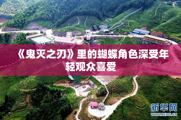 《鬼灭之刃》里的蝴蝶角色深受年轻观众喜爱