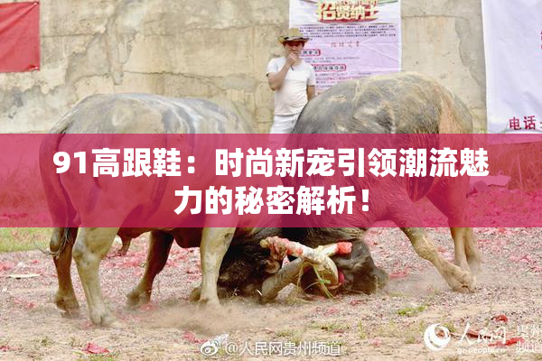 91高跟鞋：时尚新宠引领潮流魅力的秘密解析！