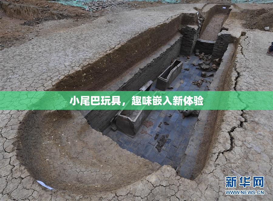 小尾巴玩具，趣味嵌入新体验