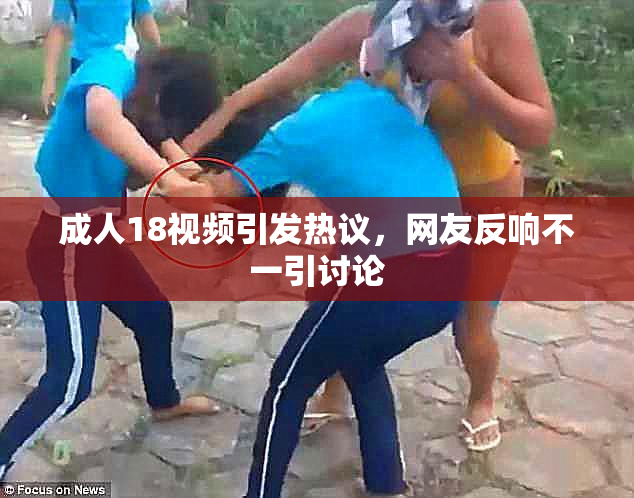 成人18视频引发热议，网友反响不一引讨论
