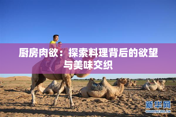 厨房肉欲：探索料理背后的欲望与美味交织