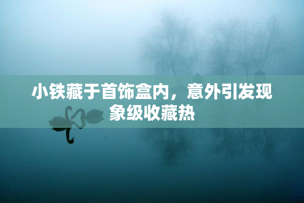 小铁藏于首饰盒内，意外引发现象级收藏热