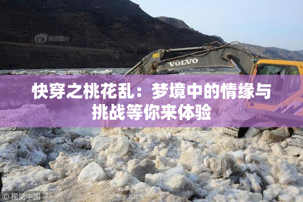 快穿之桃花乱：梦境中的情缘与挑战等你来体验