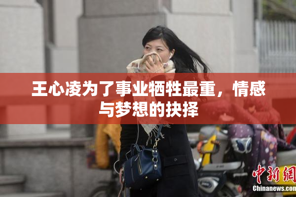 王心凌为了事业牺牲最重，情感与梦想的抉择