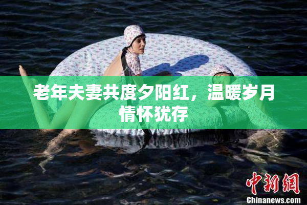 老年夫妻共度夕阳红，温暖岁月情怀犹存