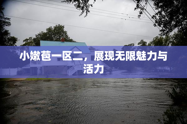 小嫩苞一区二，展现无限魅力与活力