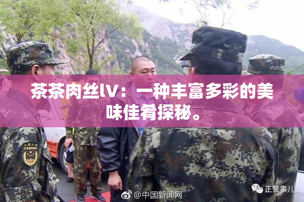 茶茶肉丝lV：一种丰富多彩的美味佳肴探秘。