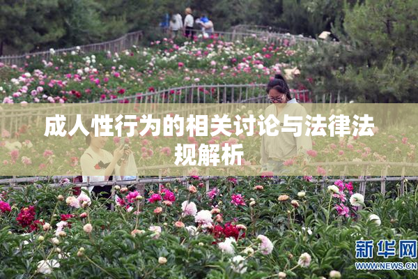 成人性行为的相关讨论与法律法规解析