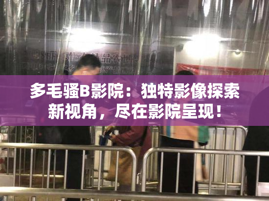 多毛骚B影院：独特影像探索新视角，尽在影院呈现！