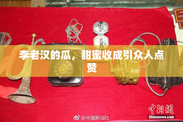 李老汉的瓜，甜蜜收成引众人点赞