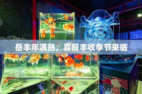 岳丰年满熟，喜报丰收季节来临