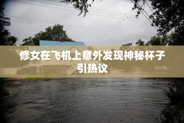 修女在飞机上意外发现神秘杯子引热议