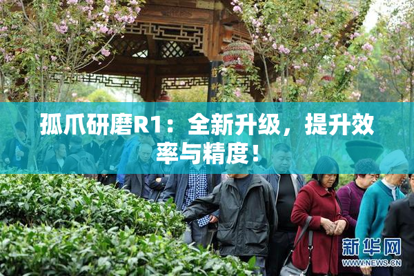 孤爪研磨R1：全新升级，提升效率与精度！