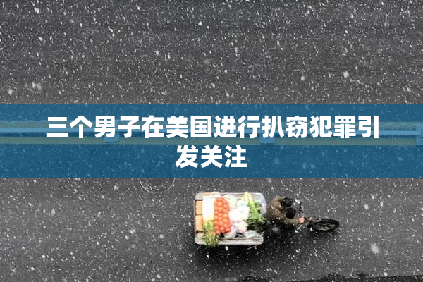 三个男子在美国进行扒窃犯罪引发关注