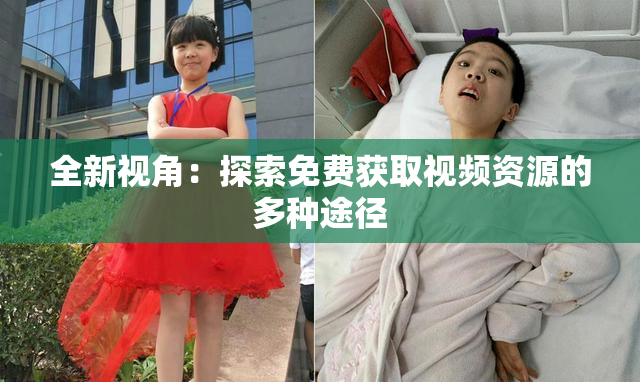 全新视角：探索免费获取视频资源的多种途径