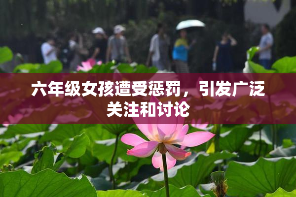六年级女孩遭受惩罚，引发广泛关注和讨论