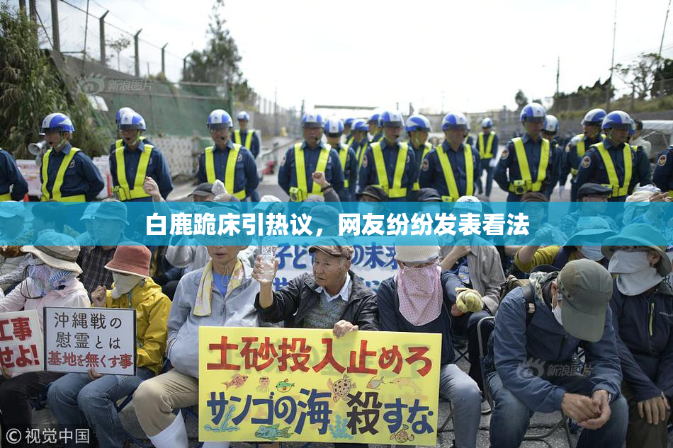 白鹿跪床引热议，网友纷纷发表看法