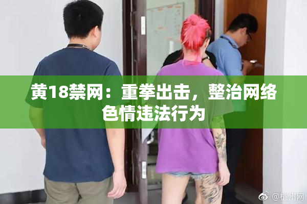 黄18禁网：重拳出击，整治网络色情违法行为