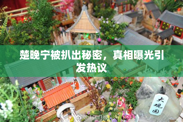 楚晚宁被扒出秘密，真相曝光引发热议