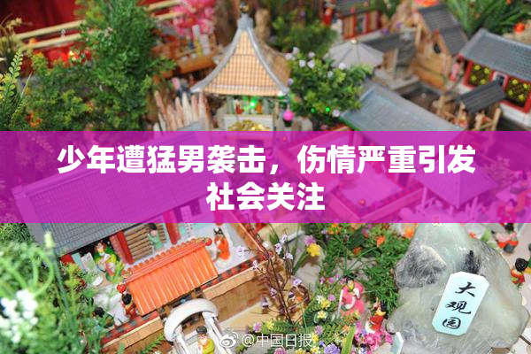 少年遭猛男袭击，伤情严重引发社会关注