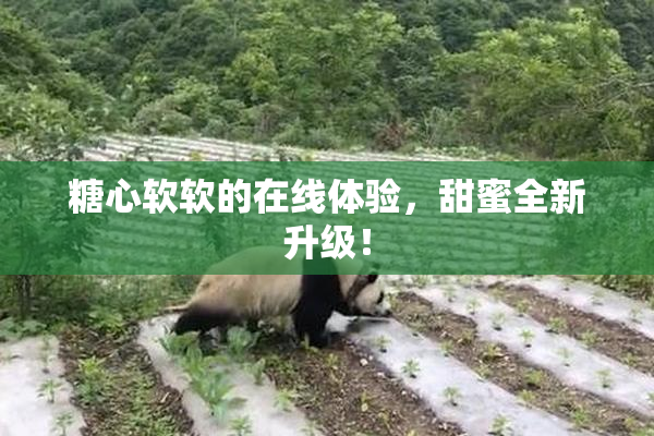 糖心软软的在线体验，甜蜜全新升级！