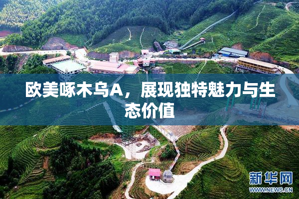 欧美啄木乌A，展现独特魅力与生态价值